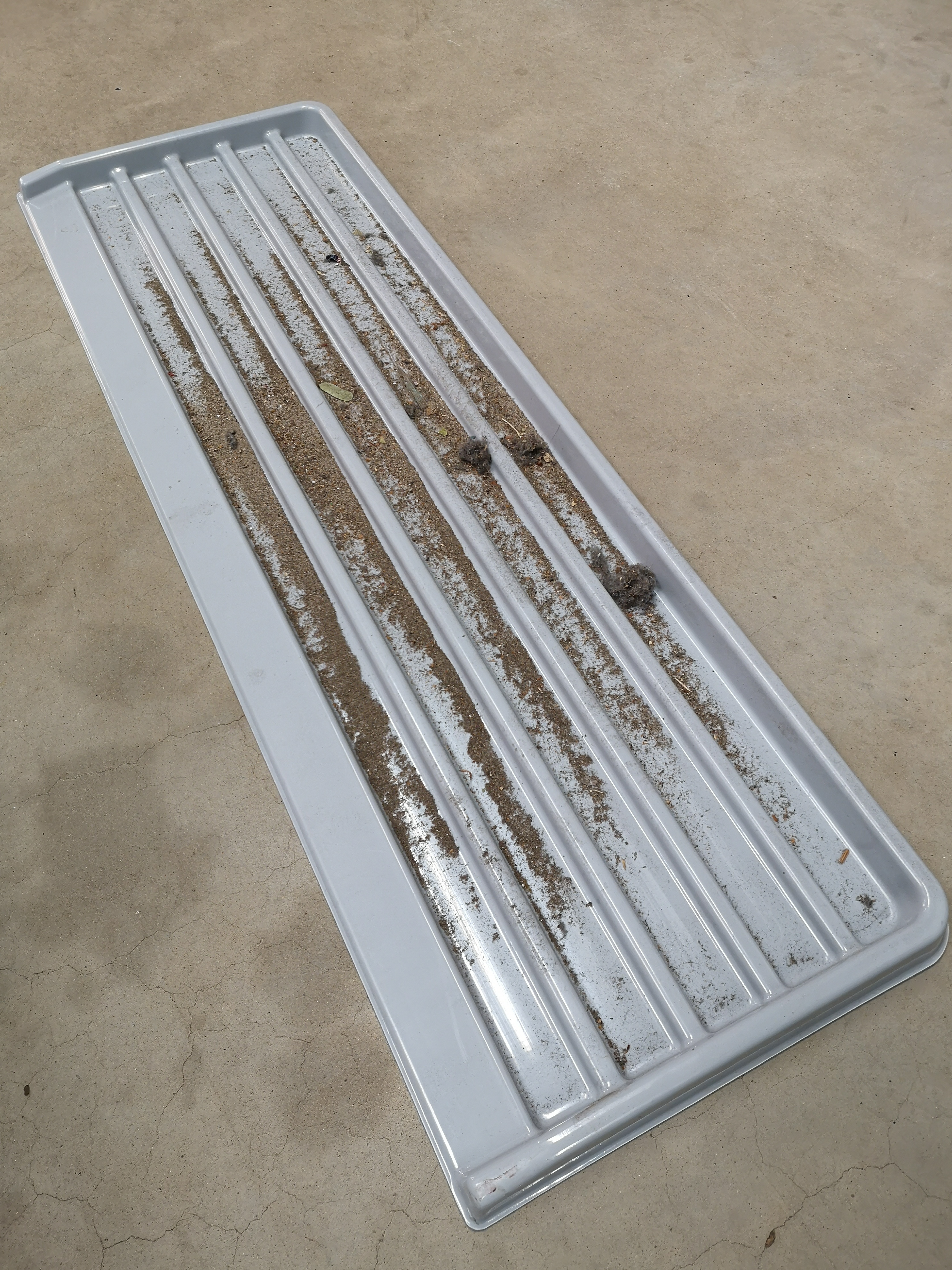 veeg handig en snel met een professionele vloerwisser het vuil in de opvangbak
